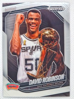 2024-25 Panini Prizm Black #282 David Robinson